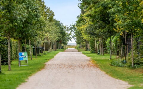 Rohan - 500M from the Sea: Verde, Foglia, Natura, Ramo, Vegetazione, Arbusto, Giardino, Primavera, Strada Transitabile, Tronco