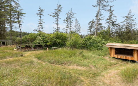 Jorek - 1.3Km from the Sea: Erba, Ambiente Naturale, Comunita 'Impianto, Pascolo, Lotto, Ecoregione, Area Rurale, Foresta