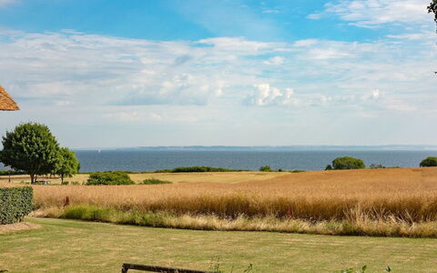 Edithe - 250M from the Sea: Cielo, Blu, Verde, Erba, Paesaggio Naturale, Pascolo, Orizzonte, Plain, Ecoregione