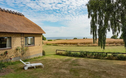 Edithe - 250M from the Sea: Lotto, Area Rurale, Villetta, Thatching, Campo, Prato, Agriturismo, Prateria, Azienda Agricola