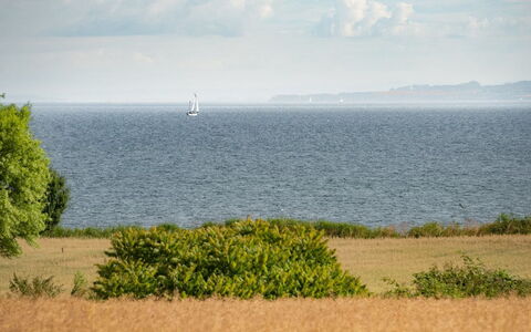 Edithe - 250M from the Sea: Cielo, Blu, Orizzonte, Acqua, Giorno, Corpo D'Acqua, Nube, Ecoregione, Pascolo, Mare