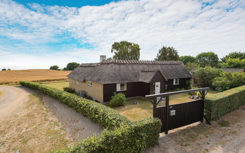 Edithe - 250M from the Sea: Erba, Tetto, Casa, Villetta, Area Rurale, Casa, Lotto, Thatching, Agriturismo, Villaggio