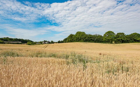 Edithe - 250M from the Sea: Blu, Giorno, Campo, Agricoltura, Nube, Pascolo, Paesaggio Naturale, Plain, Ecoregione, Estate