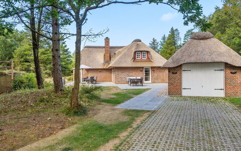 Romy - 3.5Km from the Sea: Erba, Casa, Tetto, Casa, Villetta, Arbusto, Lotto, Area Rurale, Agriturismo, Groundcover