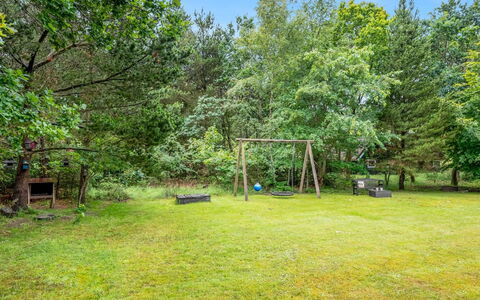Arttu - 2.4Km from the Sea: Comunita 'Impianto, Luce Del Sole, Pianta Erbacea, Giardino, Piantagione, Agricoltura, Azienda Agricola