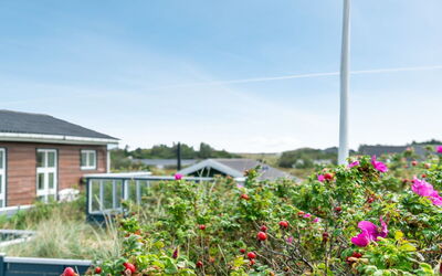 Stener - 250M from the Sea