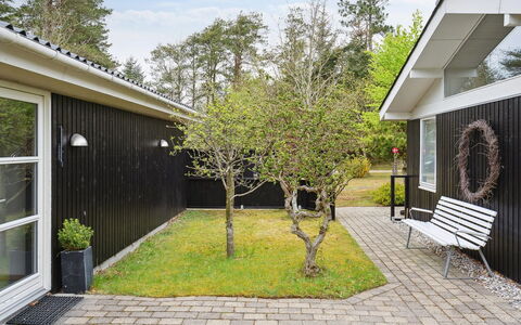 Seraphina - 2Km from the Sea: Arbusto, Casa, Giardino, Casa, Groundcover, Prato, Backyard, Cortile, Shade, Landscaping