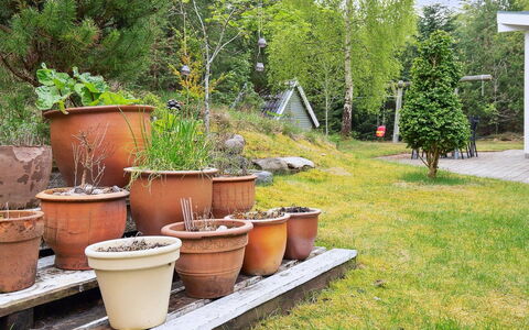 Seraphina - 2Km from the Sea: Verde, Vaso Di Fiori, Arbusto, Giardino, Pianta Della Casa, Backyard, Ceramica, Cortile