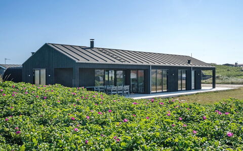 Aiko - 50M from the Sea: Comunita 'Impianto, Luce Del Sole, Pianta Erbacea, Giardino, Piantagione, Agricoltura, Azienda Agricola