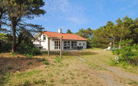 Konrad - 400M from the Sea: Comunita 'Impianto, Luce Del Sole, Pianta Erbacea, Giardino, Piantagione, Agricoltura, Azienda Agricola
