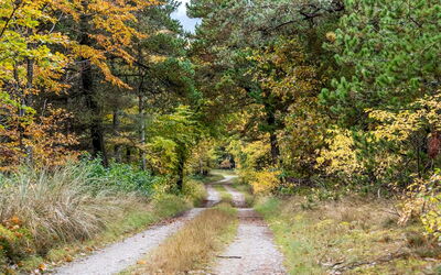 Eimi - 1.5Km from the Sea