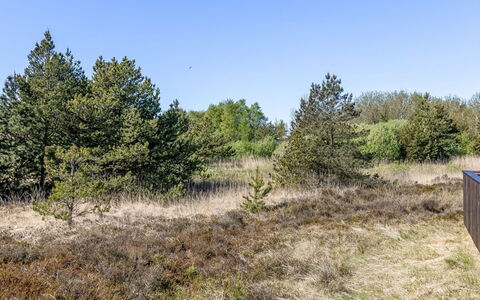 Sara - 2.5Km from the Sea: Erba, Casa, Tetto, Casa, Villetta, Arbusto, Lotto, Area Rurale, Agriturismo, Groundcover