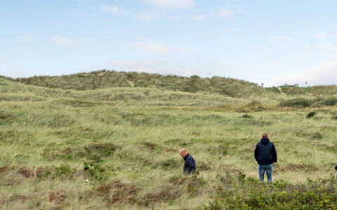 Betti - 300M from the Sea: Erba, Casa, Tetto, Casa, Villetta, Arbusto, Lotto, Area Rurale, Agriturismo, Groundcover
