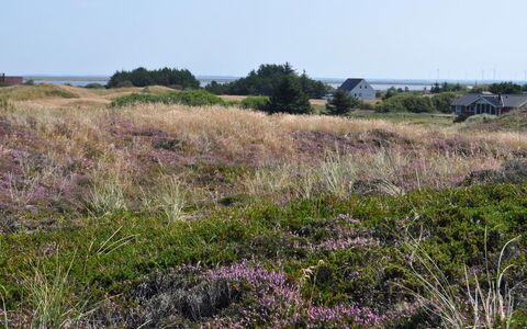 Arli - 800M from the Sea: Villetta, Capannone, Capanna, Agriturismo, Prateria, Baracca, Fienile, Log Cabin, Edifici Giardino