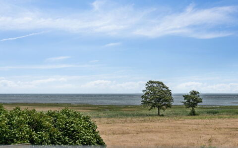 Amely - 500M from the Sea: 