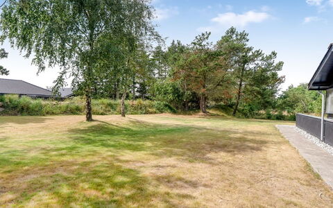 Barba - 2Km from the Sea: Plain, Giardino, Prato, Shade, Landscaping, Backyard, Driveway, Sempreverde