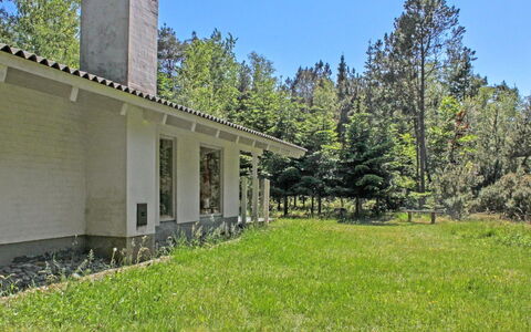 Gerarda - 4Km from the Sea: Erba, Albero, Arbusto, Lotto, Casa, Groundcover, Giardino, Estate, Villetta