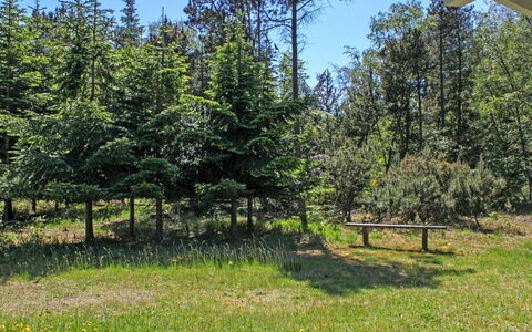 Gerarda - 4Km from the Sea: Albero, Verde, Arbusto, Prato, Pascolo, Larice, Woodland, Sempreverde