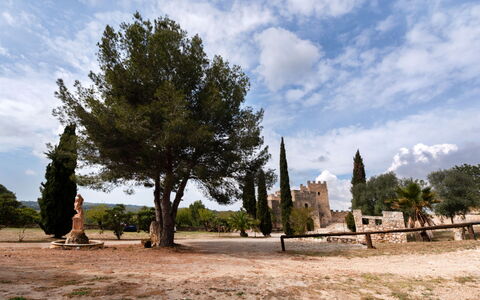 Mas D'En Tarres: Proprietà, Cielo, Tavolo, Legna, Shade, Pavimento, Mobili Da Esterno, Sedia, Pavimentazione, Color Legno