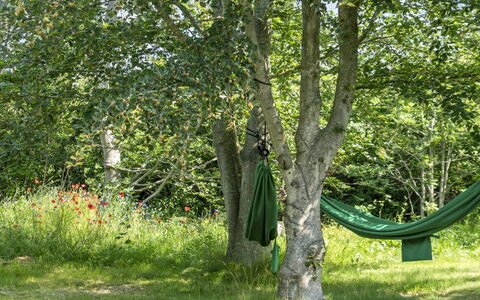 Leevi - 150M from the Sea: Verde, Foglia, Tronco, Groundcover, Woody Impianto, Primavera, Prato, Shade, Giardino, Woodland