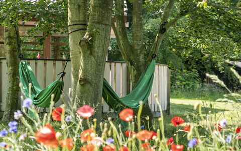 Leevi - 150M from the Sea: Verde, Foglia, Estate, Giardino, Arbusto, Prato, Primavera, Groundcover, Tronco