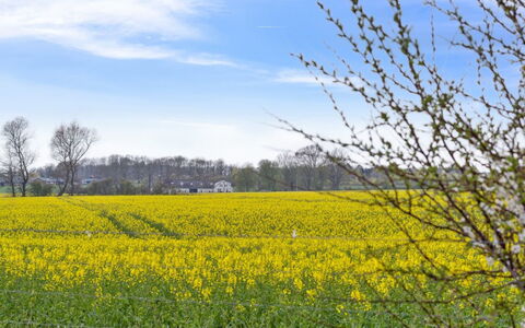 Malfred - 500M from the Sea: Comunita 'Impianto, Luce Del Sole, Pianta Erbacea, Giardino, Piantagione, Agricoltura, Azienda Agricola