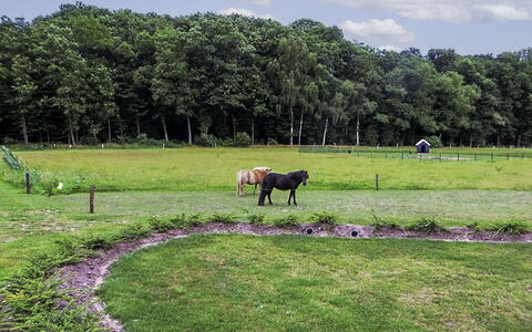 Familieboerderij: Acqua, Costruzione, Nube, Pianta, Giorno, Proprietà, Piscina, Cielo, Finestra, Azzurro