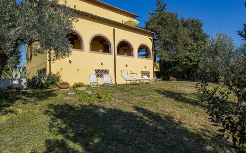 Bellavista: Costruzione, Giorno, Cielo, Pianta, Albero, Arecales, Recinzione, Impianto Terrestre, Urban Design, Woody Impianto