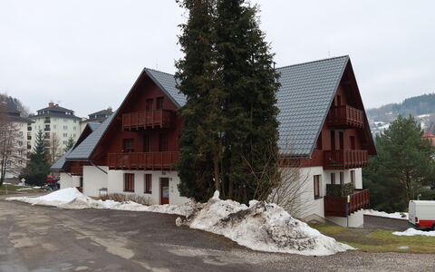 Rokytnice Nad Jizerou 556: Tavolo, Proprietà, Mobilia, Pianta, Tavola, Albero, Shade, Sedia, Costruzione, Mobili Da Esterno