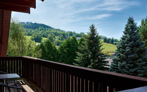 Rokytnice Nad Jizerou 556: Cielo, Nube, Proprietà, Albero, Portico, Legna, Montagna, Larice, Recinzione, Vegetazione