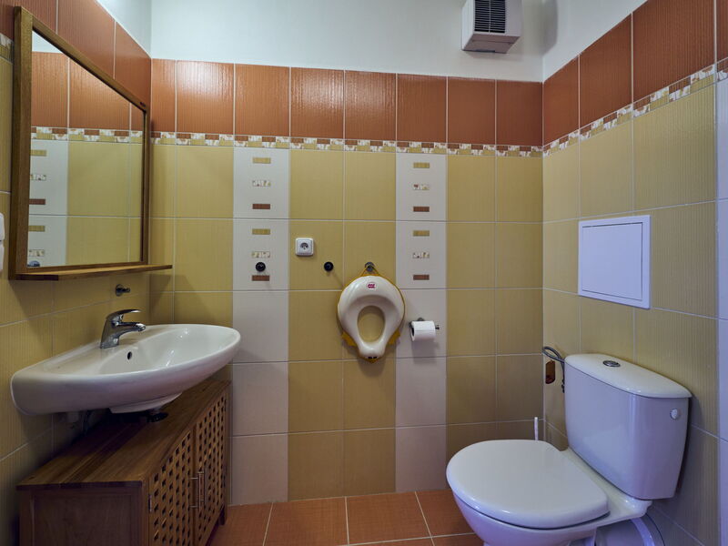 Alloggio:&nbsp;Horní Rokytnice 556.1