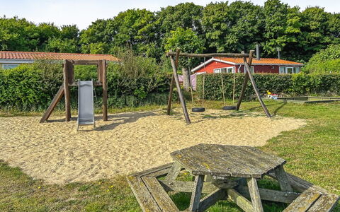 Kjera - 200M from the Sea: Comunita 'Impianto, Luce Del Sole, Pianta Erbacea, Giardino, Piantagione, Agricoltura, Azienda Agricola