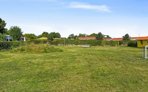 Kjera - 200M from the Sea: Comunita 'Impianto, Luce Del Sole, Pianta Erbacea, Giardino, Piantagione, Agricoltura, Azienda Agricola