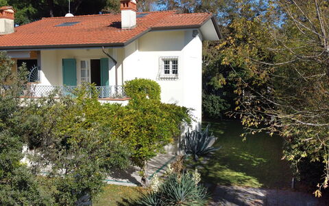 Villa Glicine: Pianta, Proprietà, Finestra, Costruzione, Botanica, Casa, Albero, Erba, Lotto, Villetta