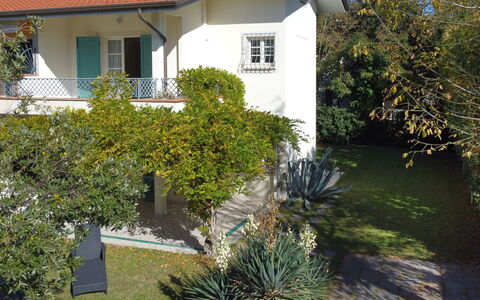Villa Glicine: Pianta, Costruzione, Finestra, Proprietà, Foglia, Botanica, Casa, Vegetazione, Lotto, Erba