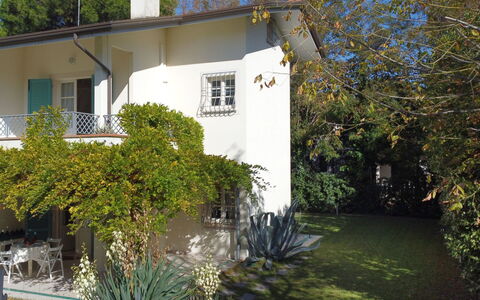 Villa Glicine: Pianta, Costruzione, Proprietà, Finestra, Cielo, Botanica, Albero, Casa, Lotto, Villetta