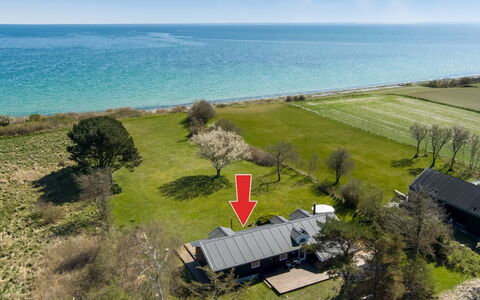 Trajko - 100M from the Sea