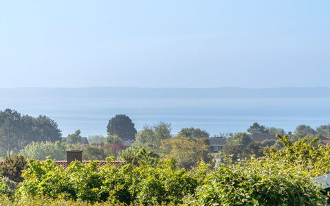 Miona - 725M from the Sea: Comunita 'Impianto, Luce Del Sole, Pianta Erbacea, Giardino, Piantagione, Agricoltura, Azienda Agricola