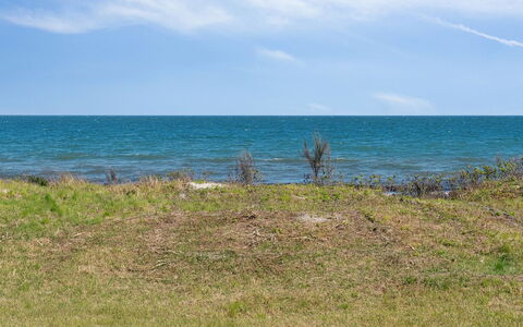 Arild - 10M from the Sea: Comunita 'Impianto, Luce Del Sole, Pianta Erbacea, Giardino, Piantagione, Agricoltura, Azienda Agricola