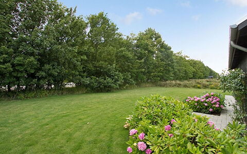 Miika - 100M from the Sea: Comunita 'Impianto, Luce Del Sole, Pianta Erbacea, Giardino, Piantagione, Agricoltura, Azienda Agricola
