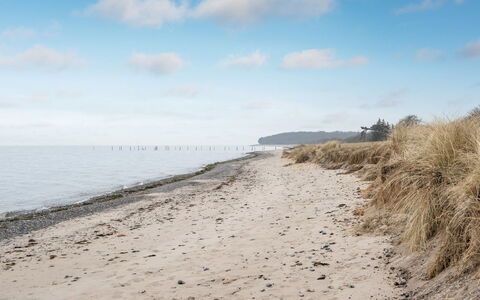 Hattie - 100M from the Sea: Acqua, Spiaggia, Costa, Orizzonte, Costiera E Morfologie Oceanic, Riva, Mare, Ecoregione, Sabbia
