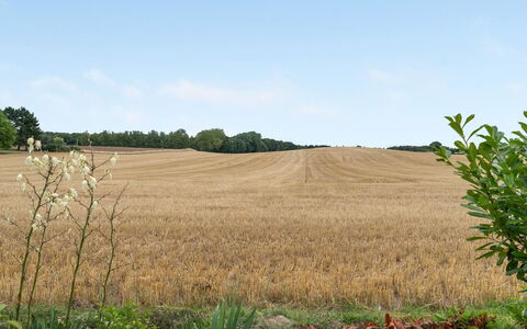 Asya - 600M from the Sea: Blu, Arbusto, Villetta, Groundcover, Giardino, Estate, Shade, Landscaping, Agriturismo, Eco Hotel