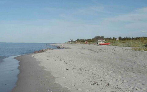 Elbert - 100M from the Sea: Blu, Arbusto, Villetta, Groundcover, Giardino, Estate, Shade, Landscaping, Agriturismo, Eco Hotel