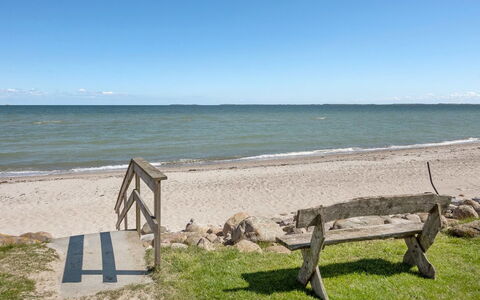 Aleksa - 400M from the Sea: Blu, Arbusto, Villetta, Groundcover, Giardino, Estate, Shade, Landscaping, Agriturismo, Eco Hotel