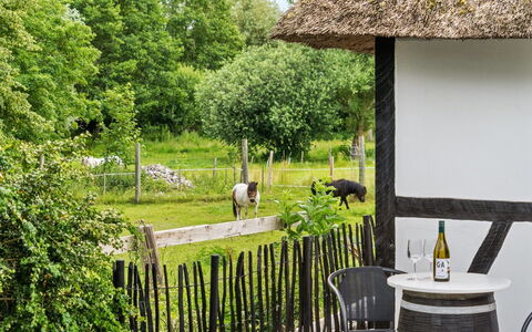 Maileen - 2.1Km to the Fjord: Blu, Arbusto, Villetta, Groundcover, Giardino, Estate, Shade, Landscaping, Agriturismo, Eco Hotel