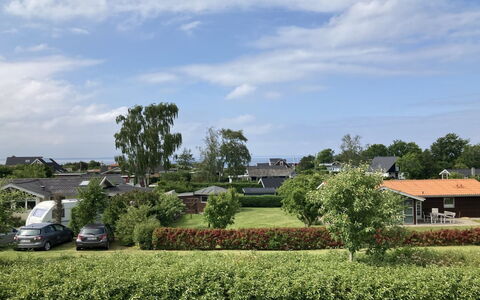 Eike - 250M from the Sea: Comunita 'Impianto, Luce Del Sole, Pianta Erbacea, Giardino, Piantagione, Agricoltura, Azienda Agricola