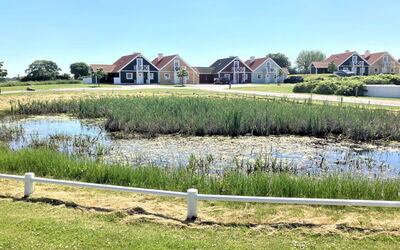 Arwin - 250M from the Sea