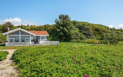 Arnwith - 20M from the Sea: Fiore, Arbusto, Nube, Groundcover, Primavera, Villetta, Giardino, Pianta Fiorita, Prato