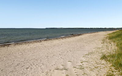 Pellervo - 20M from the Sea