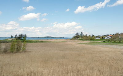 Antti - 350M from the Sea